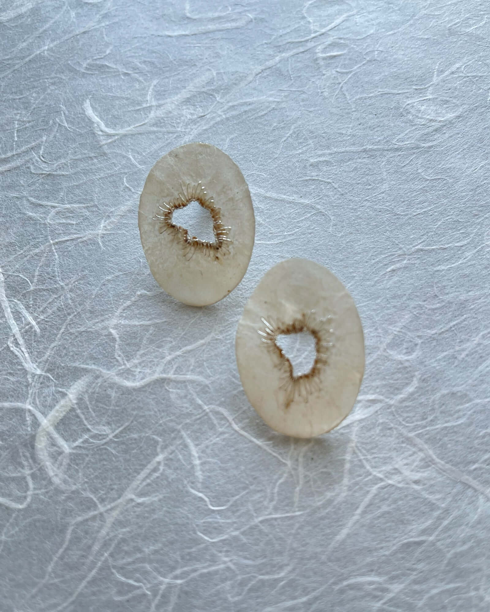 Japanese Washi Jewelry|EARRINGS 010 | VOJ