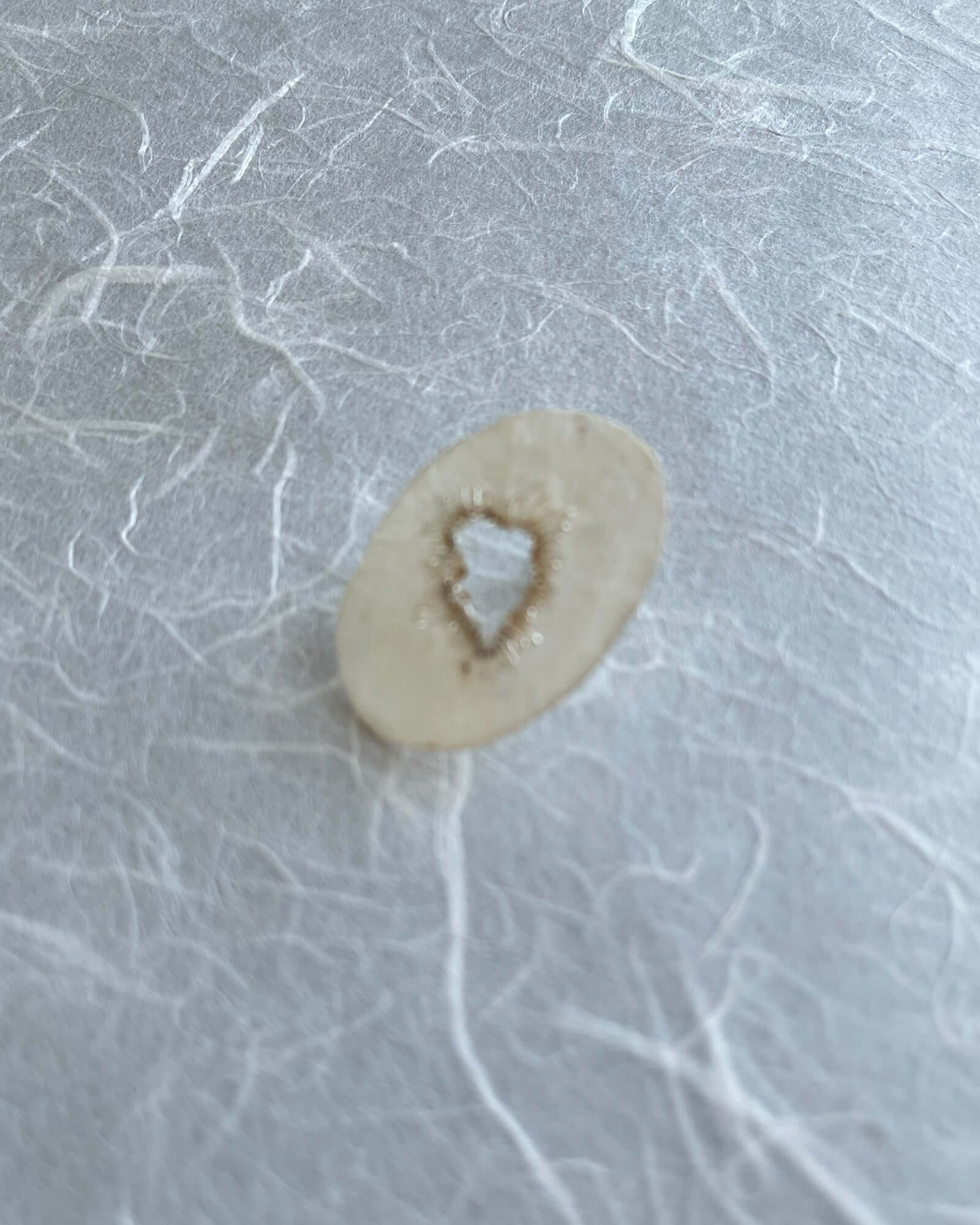 Japanese Washi Jewelry|EARRINGS 010 | VOJ