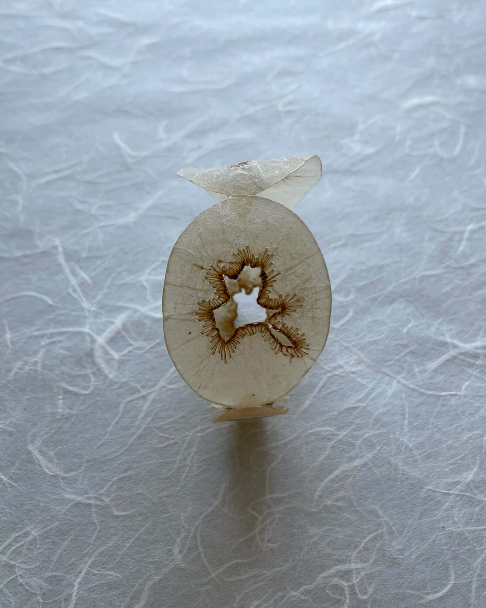 Japanese Washi Jewelry|BANGLE 002 | VOJ