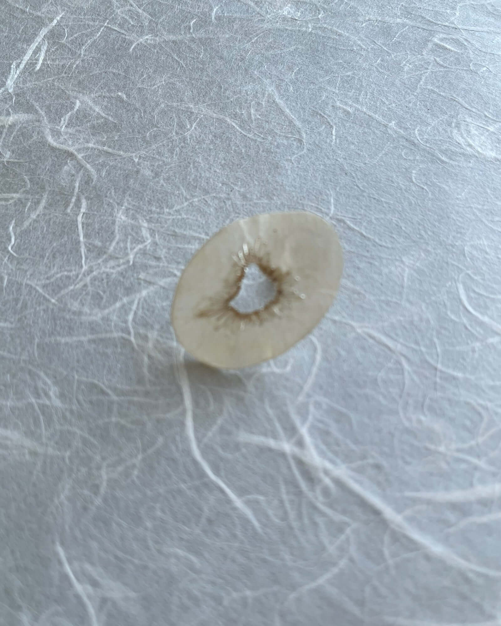 Japanese Washi Jewelry|EARRINGS 010 | VOJ