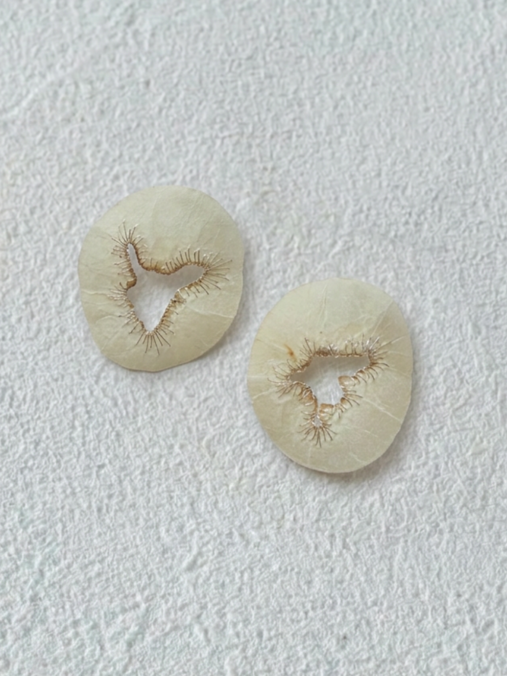 Japanese Washi Paper Jewelry | EARRINGS 020 | moi.toi. | VOJ