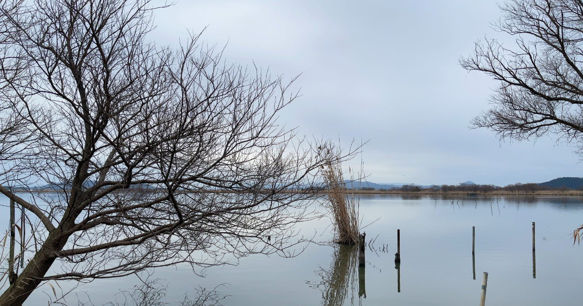 Crafting Beauty, Weaving Stories — The World of Voice of Japan